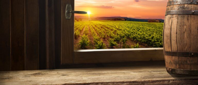 Manzaranın önünde şarap fıçısı