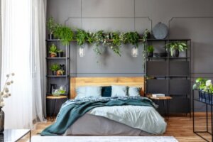 Bitkiler ile yatak odası düzeni