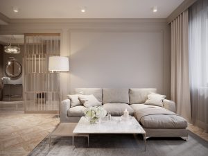 Gray living room: sofa ideas.