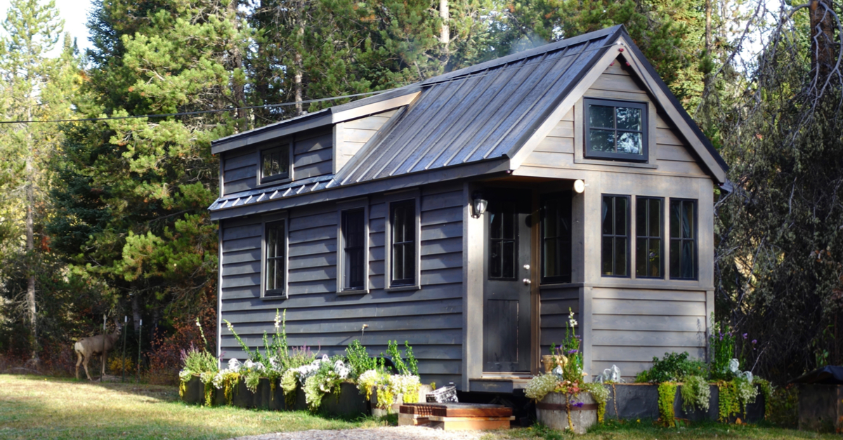 Mini-house popularity reasons