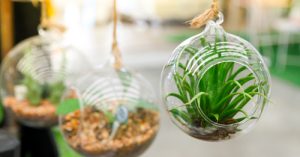 4 Small Garden Decorating Ideas