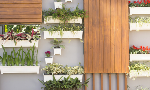 Vertical garden.