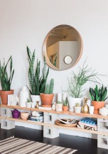 Lovely Plants to Grace Your Entrance Way
