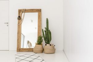 The cactus is a great houseplant for decorating your entrance hall.