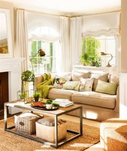 Natural Decor in your Living Room - Decor Tips