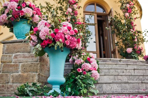 How to Keep Your Roses in Perfect Condition