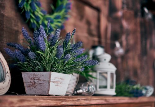 A rustic style home should always include plants