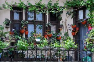Putting plants outside your window can help to soundproof your room.