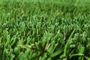 Bermuda grass can make for a really beautiful lawn if you take good care of it.