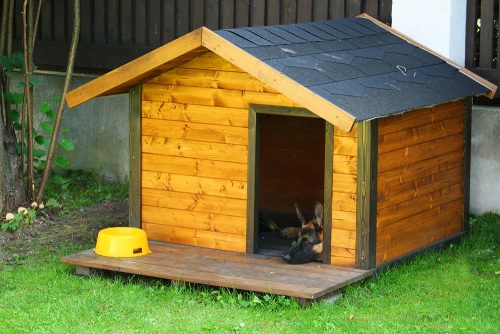 dog houses