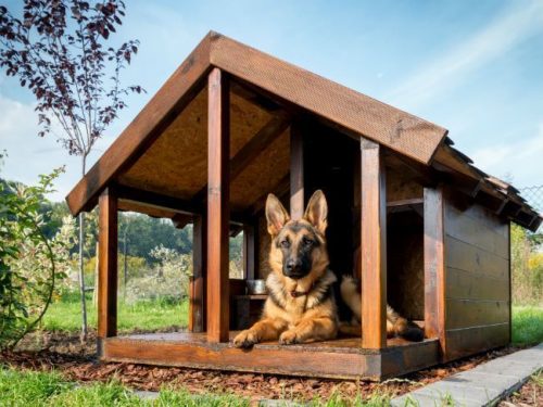 porch dog house