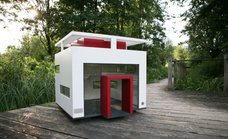 5 Dog Houses for Your Backyard