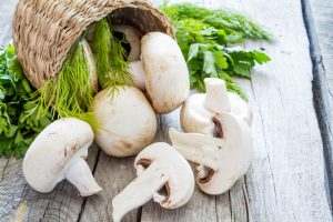 How to Grow Mushrooms in your Garden