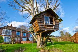 A tree house can have a flat or a sloped roof.