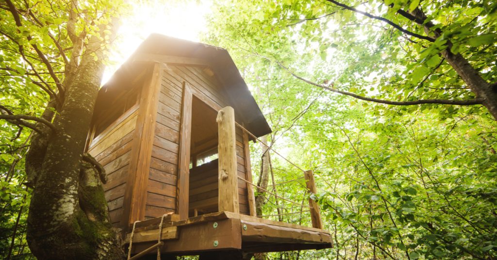 How to Build a Tree House for your Children