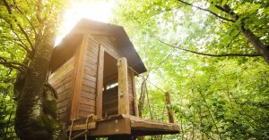 How to Build a Tree House for your Children