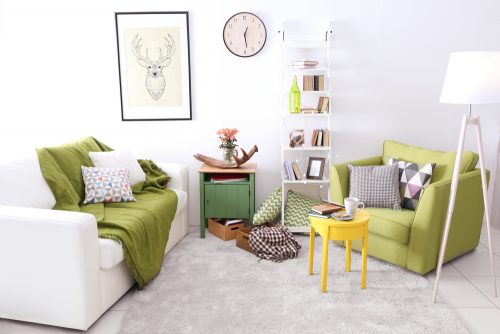Cozy living room layout sofas
