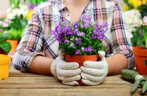 Decorate Pots with Stones