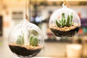 One way to create decorative terrariums is to hang them.