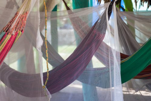 Mosquito nets shimmer