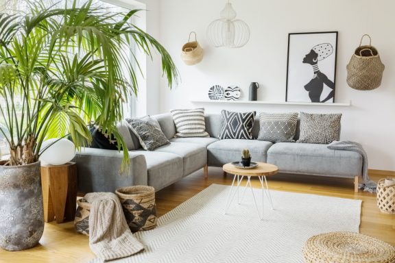 Indoor Palm Trees: Types you Can Use to Decorate Inside