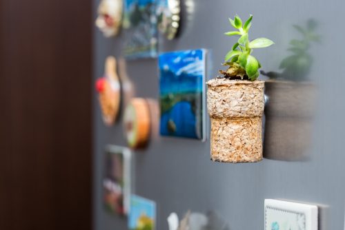 Corks can be an excellent plant holder. Why not try using succulents as a way to decorate with corks?