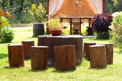 How to Decorate your Home with Tree Trunks