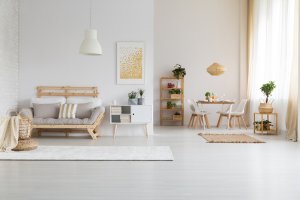 Combined Dining and Living Room Setup