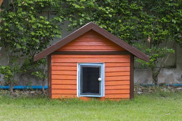 Een mooi huisje voor je trouwe viervoeter