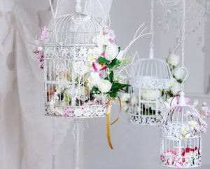 Hang your bird cages from the ceiling next to the window to give your home a breath of fresh air.