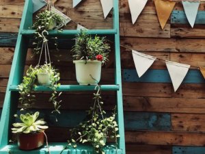 Make a Ladder-Style Plant Holder