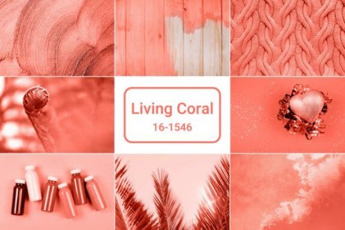 Living Coral: 2019’s Color of the Year