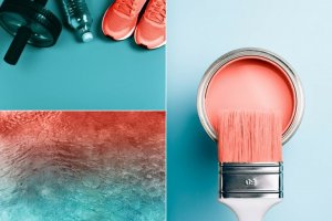 living coral examples