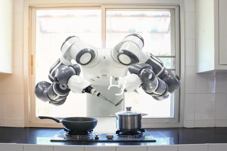 What's the Best Kitchen Robot?