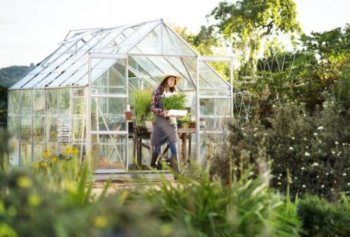 A Garden Shed: 4 Ways to Use One