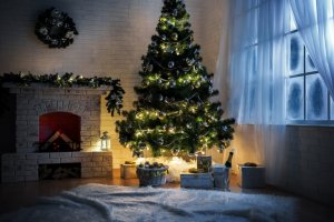 A natural Christmas tree will need to be placed next to a window, and be watered regularly.