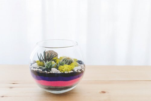 You can create jars with sand with many layers and colors, and even include plants such as succulents