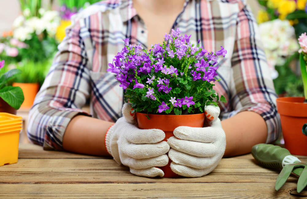 growing vegetables 1