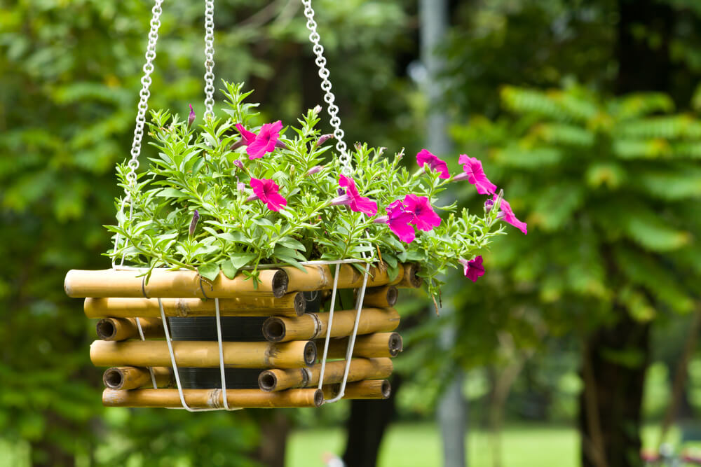 hanging baskets balcony 2