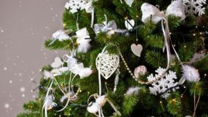 How to Choose the Right Christmas Tree