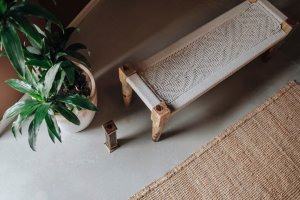 Real or Artificial Plants: Making the Right Choice