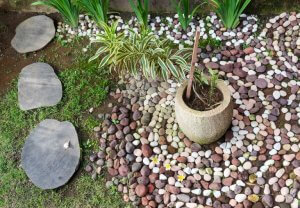 River stones and pebbles can be a beautiful addition to your garden.