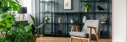 You could just use designer jars on their own to decorate shelves with jars