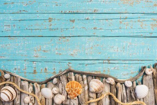 Driftwood: a Trendy and Eco-Friendly Material