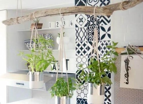 4 Tips for Making a Hanging Garden