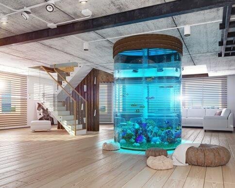 5 Beautiful Aquariums for Your Home