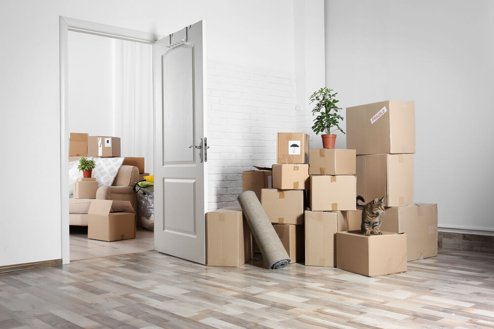 moving tips 1