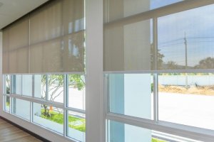 Noise-Reduction Windows: Block Out the Street Ruckus