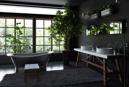 Black Walls? How and Where to Use It