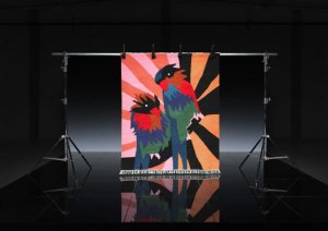 Craig Green's rug in a photo studio.